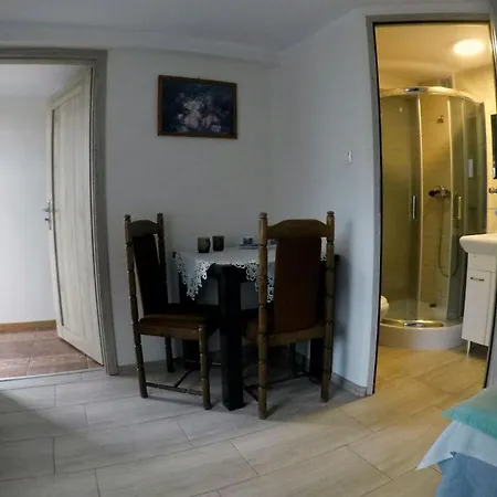 U Grazyny Guest house *